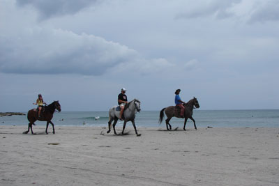 Horses on the Beach!