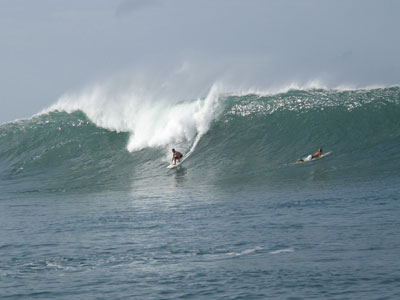 Surfing the Outer Reef
